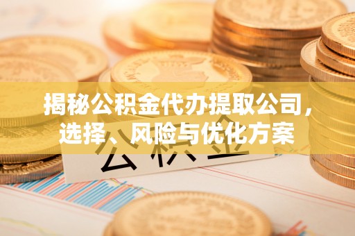 渭南揭秘公积金代办提取公司，选择、风险与优化方案