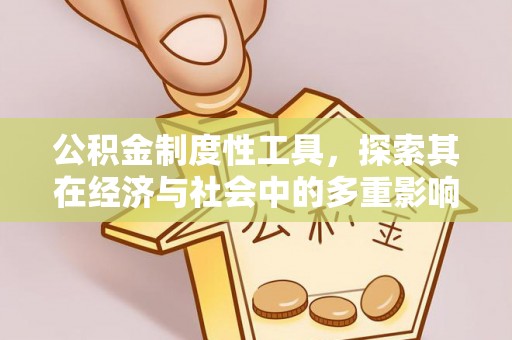 渭南公积金制度性工具，探索其在经济与社会中的多重影响