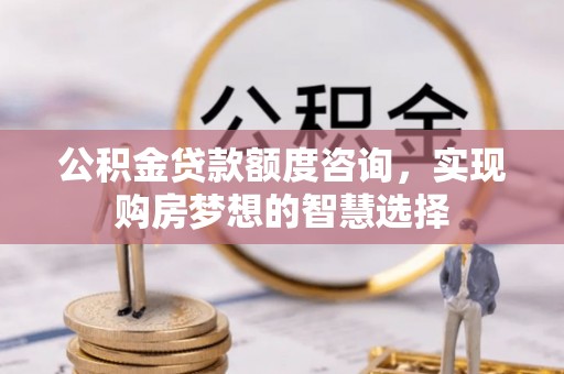 渭南公积金贷款额度咨询，实现购房梦想的智慧选择