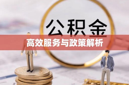 渭南高效服务与政策解析