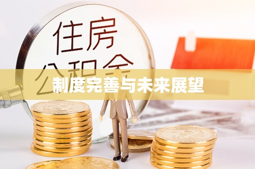 渭南制度完善与未来展望