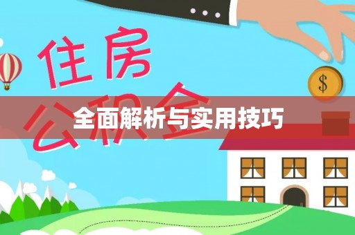 渭南全面解析与实用技巧