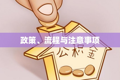 渭南政策、流程与注意事项