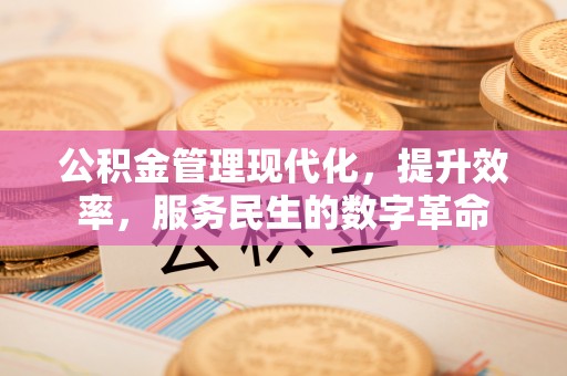 渭南公积金管理现代化，提升效率，服务民生的数字革命