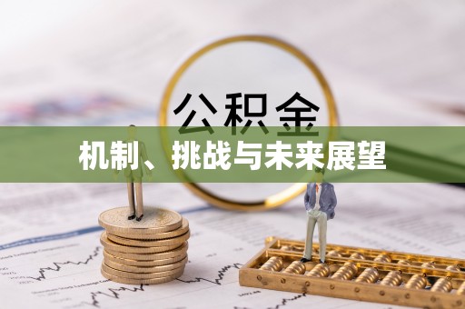 渭南机制、挑战与未来展望