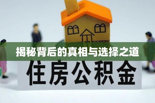 渭南揭秘背后的真相与选择之道