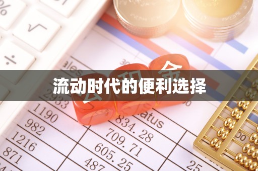 渭南流动时代的便利选择